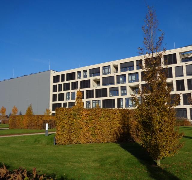 Blitz Gebäudeschutz - Barnowski GmbH in Bad Gandersheim, Rossmann-Gebäude
